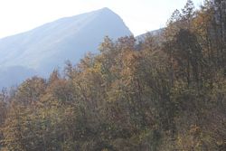 Alberi (12), Alpi_Apuane (374), Alpinismo (498), Gr_Croce_Nona (107), Monte Croce (80)